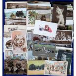 Postcards, cats, a small collection of art cards majority with cats as the subject, a few showing