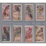 Cigarette cards, Wills (Australia), Birds of Australasia, Yellow back (99/100 plus 1 green back