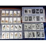 Cigarette cards, a collection of 13 sets inc. Murray Dancing Girls (London & Belfast), Types of