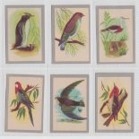 Trade cards, Australia, Malties, Birds of Australia, 'M' size, (38/40) missing nos 27 & 28 but