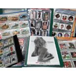 Trade cards & giveaways, a large collection of items contained in ten binders including Disney,