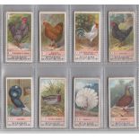 Cigarette cards, Smith's, Fowls, Pigeons and Dogs (set, 50 cards) (10 fair, rest gd),