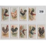 Cigarette cards, USA, Allen & Ginter, Prize & Game Chickens, 9 cards, (7 gd, 1 with sl scuffing to