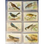 Trade cards, Church & Dwight, Useful Birds of America, series 4 - series 9, sets and variation cards