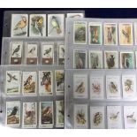 Cigarette & trade cards, a collection of 5 Bird and Animal related sets, Gallaher, British Birds