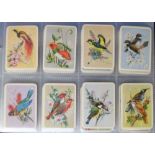 Trade cards, Australia, Tuckfield's, Australiana Birds Series, complete set of 384 cards in modern