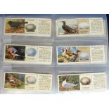 Trade cards, Typhoo, album containing a collection of 'T' size sets inc. British Birds and Their