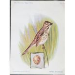 Trade cards, Singer, album containing a collection of 'XL' size cards, American Singer Series, (