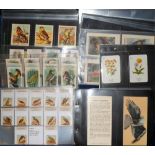 Trade Cards, a large collection of mostly bird related cards in sets, UK and foreign issues inc.