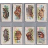 Cigarette cards, Wills, Wild Animals of the World (p/c inset) (set, 52 cards) (fair/gd)