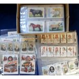 Cigarette cards, a large quantity of cards all in sleeves, many different manufacturers and