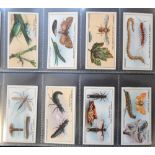 Cigarette cards, Lambert & Butler, a mixed selection of 7 sets , Garden Life, Horsemanship,