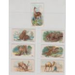 Trade cards, USA, Philadelphia Caramel Co, Zoo, 7 different cards (gd) (7)
