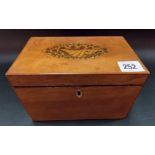 George III satinwood rectangular hinge lidded two section tea caddy, the lid with oval shell