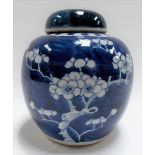 Chinese blue and white ginger jar and cover with prunus blossom on a blue ground, height 5.5in