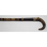A horn sectional walking cane, length 36.5in