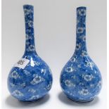 Pair of Chinese blue and white prunus blossom on cracked ice bottle vases, both with two character