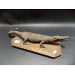 Taxidermy baby crocodile upon a rectangular wooden base, length 16.5in.