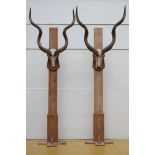 Pair of decorative plaques with antlers (80x100cm)