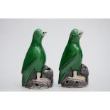 A pair of parrots in Chinese porcelain (19cm)