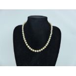 An elegant, single strand of natural, white, baroque pearls