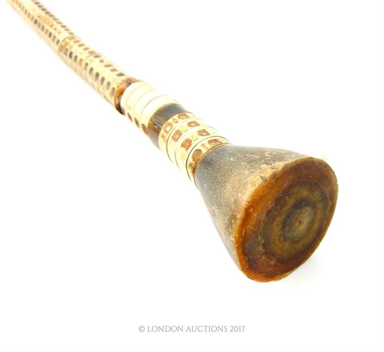 An unusual, 19th century, walking cane composed of shark vertebrae and horn