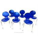 A set of six blue butterfly chairs with chrome frames.