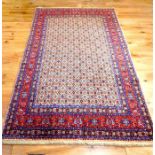 A fine Persian Birjand carpet 258 a60 cm