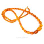 A natural Baltic amber beaded necklace