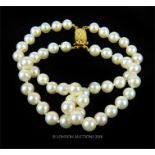 A double strand, cultured pearl bracelet with a 9 ct yellow gold clasp