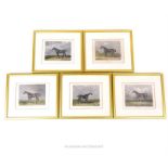 A set of five, gilt framed, 19th century, hand-coloured, equine prints