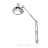 A vintage, grey-painted, Angle-poise lamp