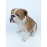 A large, decorative, painted, resin bulldog