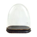 A Victorian glass display dome on an ebonised base