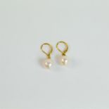 A boxed pair of 14 ct yellow gold and cream, Akoya pearl, drop earrings