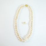 A boxed, 14 ct yellow gold natural, Akoya pearl necklace and matching earrings