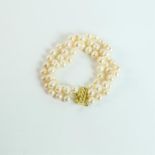 A boxed, 14 ct yellow gold and three-strand, Akoya pearl bracelet