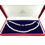 A boxed, strand of Mikimoto, white, cultured pearls