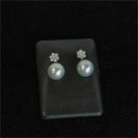 A boxed pair of 18 ct white gold, diamond and South Sea pearl drop earrings