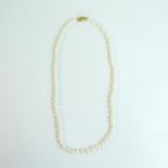 A boxed, 14 ct yellow gold, natural South sea pearl necklace