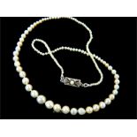 An antique, single strand of graduated, natural pearls