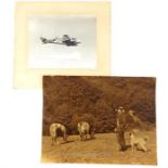 After Albert Steiner (Swiss, 1877–1965), sepia print of a pastoral photograph