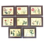 A framed set of eight, 19th century Japanese botanical woodblock plates