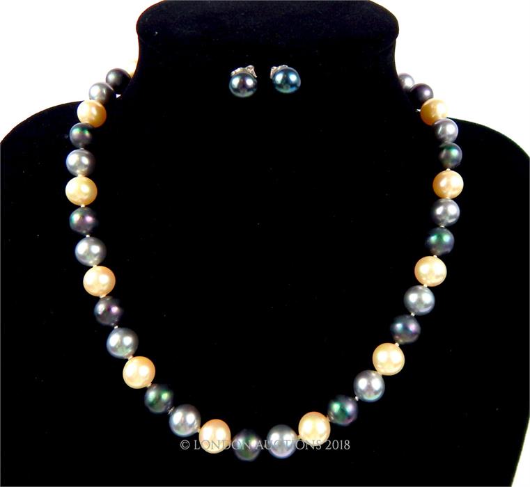 A boxed, cultured pearl (3-tone) necklace and matching earrings - Image 3 of 3