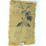 Chinese Print of a Bird in a Tree