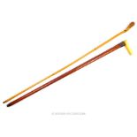 Victorian Malacca Walking Stick and Bamboo Cane