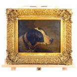A 19th century oil on paper laid to panel depicting a pointer dog