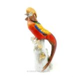 Chinese Ceramic Golden Pheasant