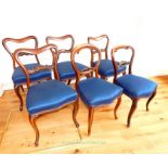 Six Victorian Dinning Chairs