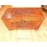 Chinese camphorwood trunk